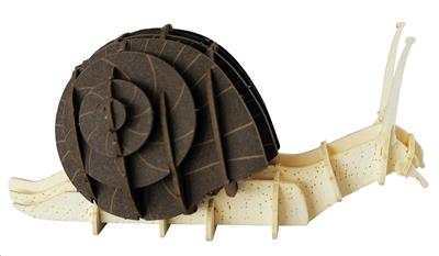 Modèle En Papier 3D - Escargot