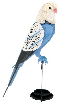 Modèle En Papier 3D - Perruche ondulée