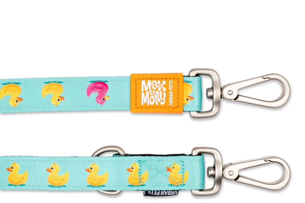 Multifunctional Leash - Ducks