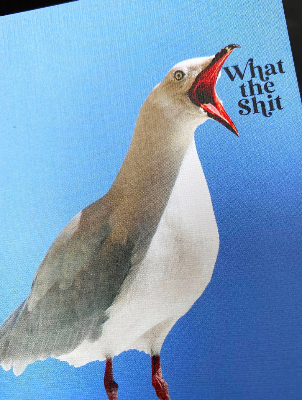 Carte de vœux What the Shit