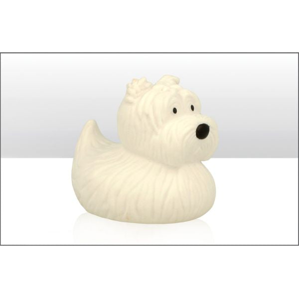 Scottish Duck Terrier
