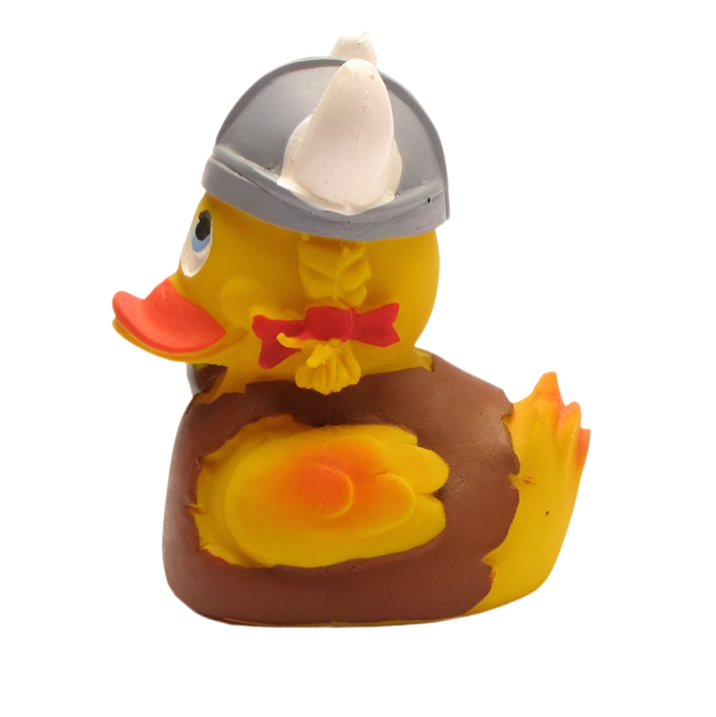 Canard Viking