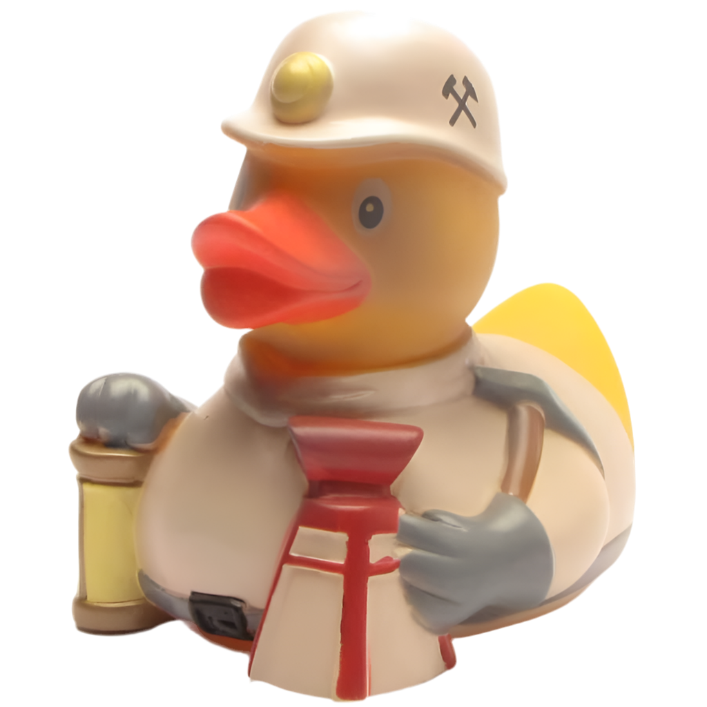 Duck Minor