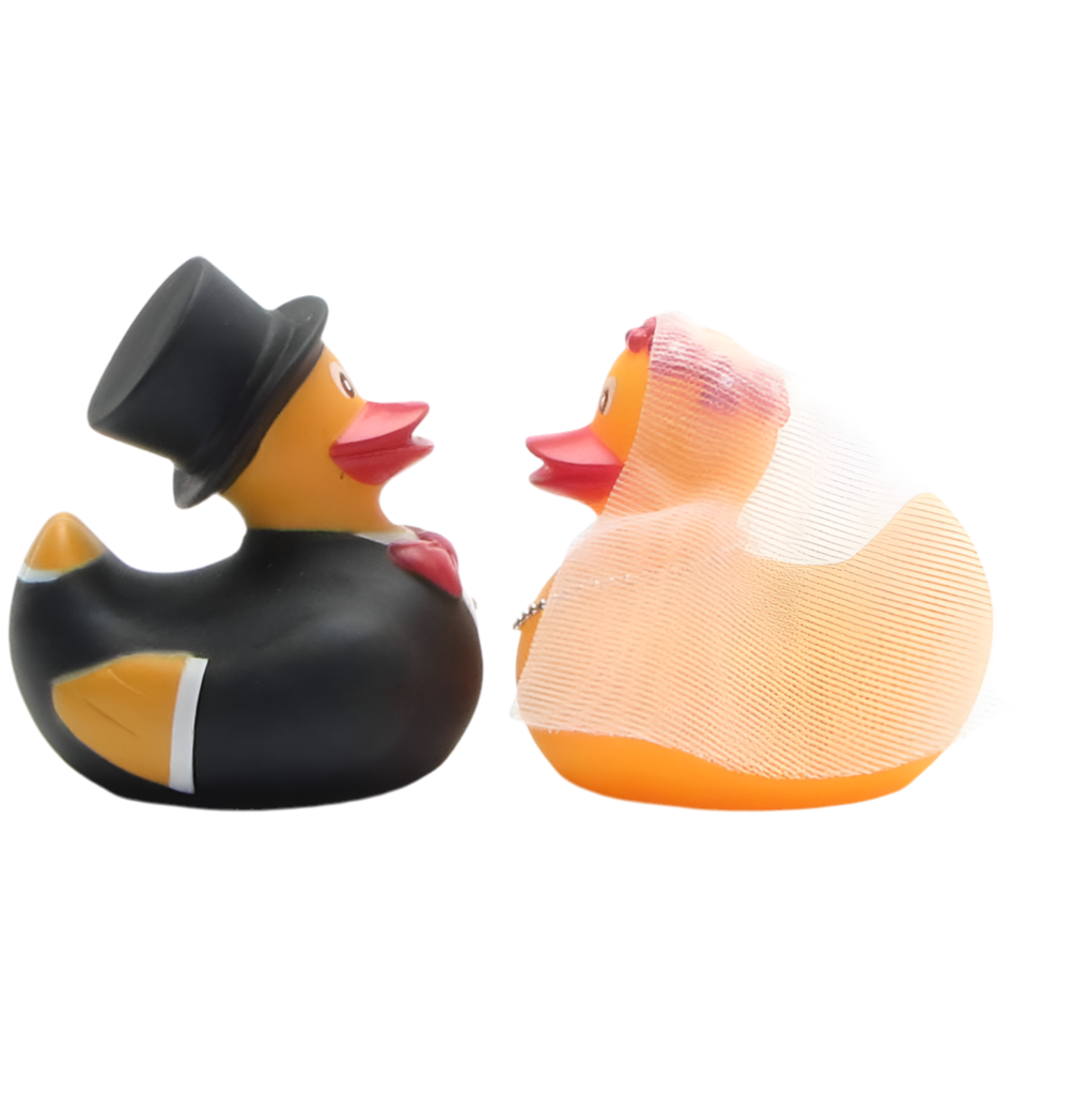 Married Duck Couple