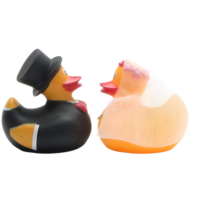 Married Duck Couple