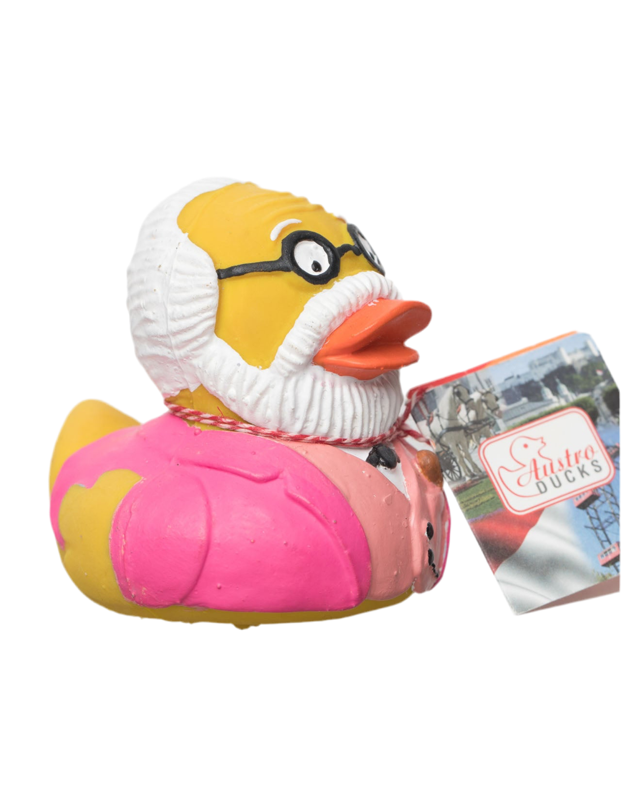 Canard Freud Rose