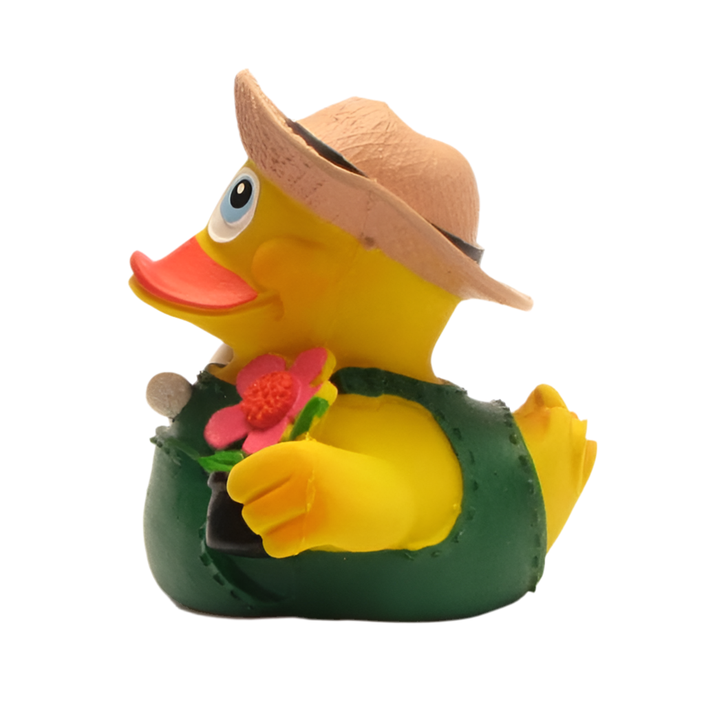 Gärtner Ente