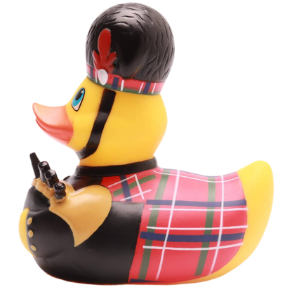 Canard Écossais