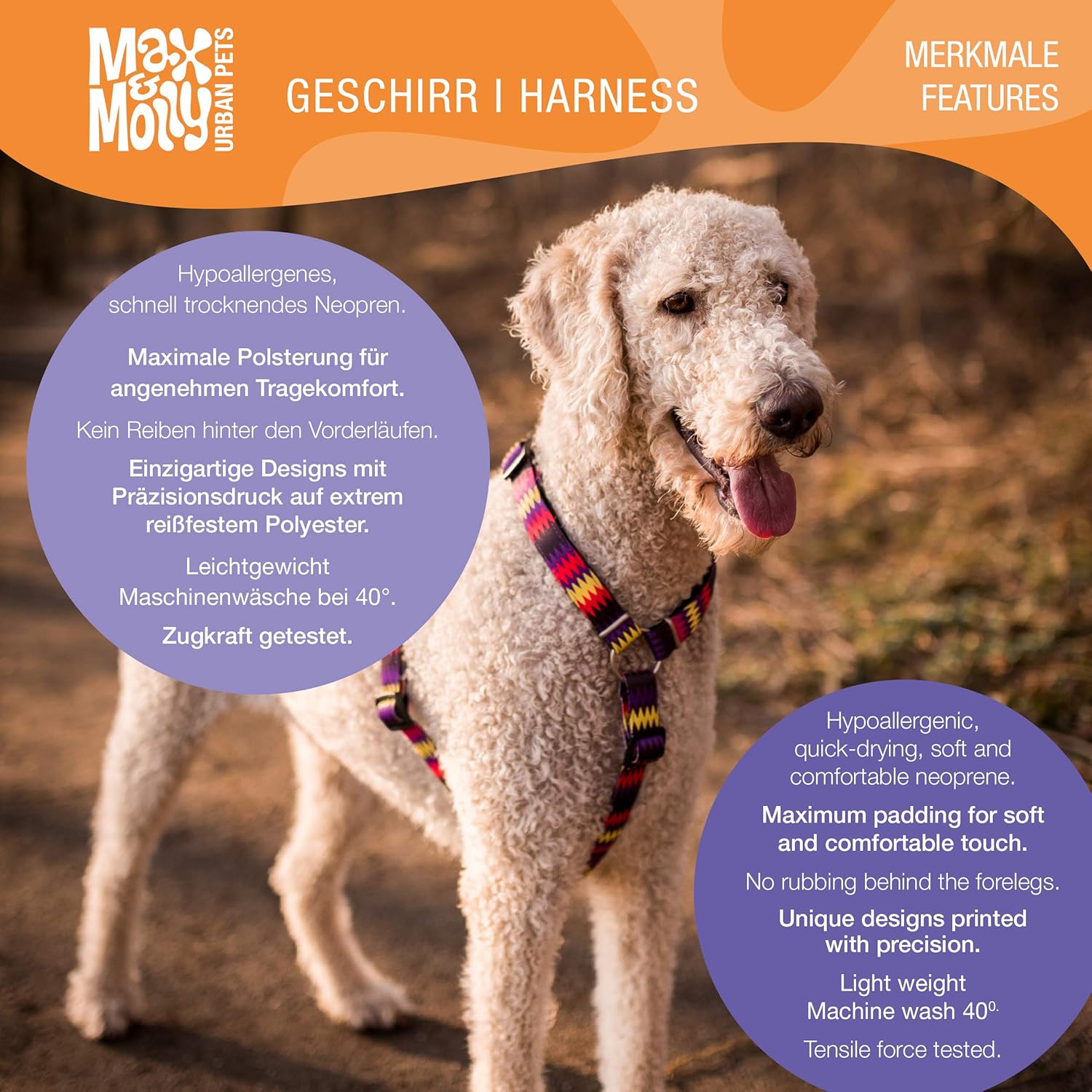 Harnais en H - Canards