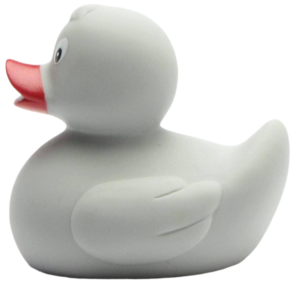 canard classique gris