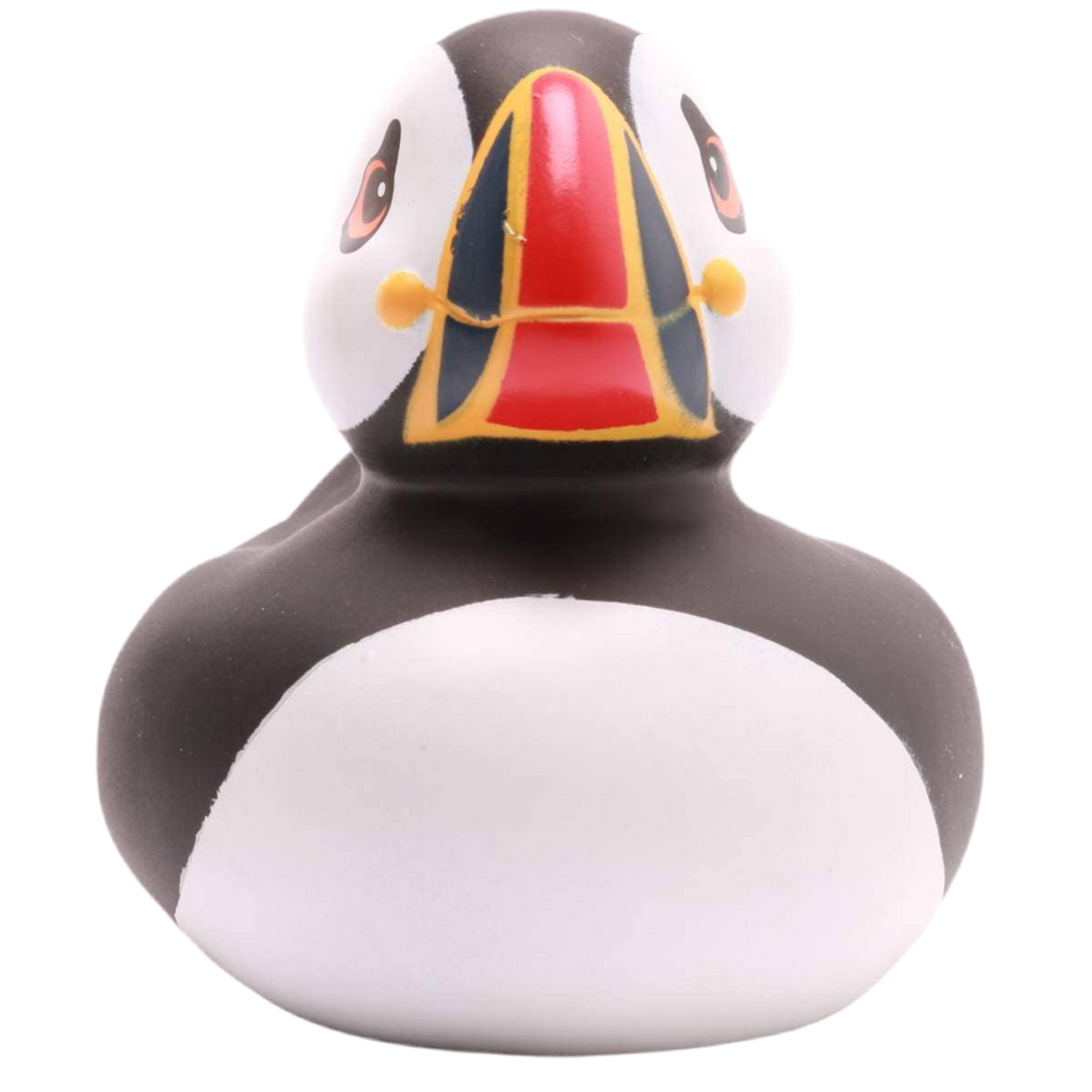 Badender Papageientaucher