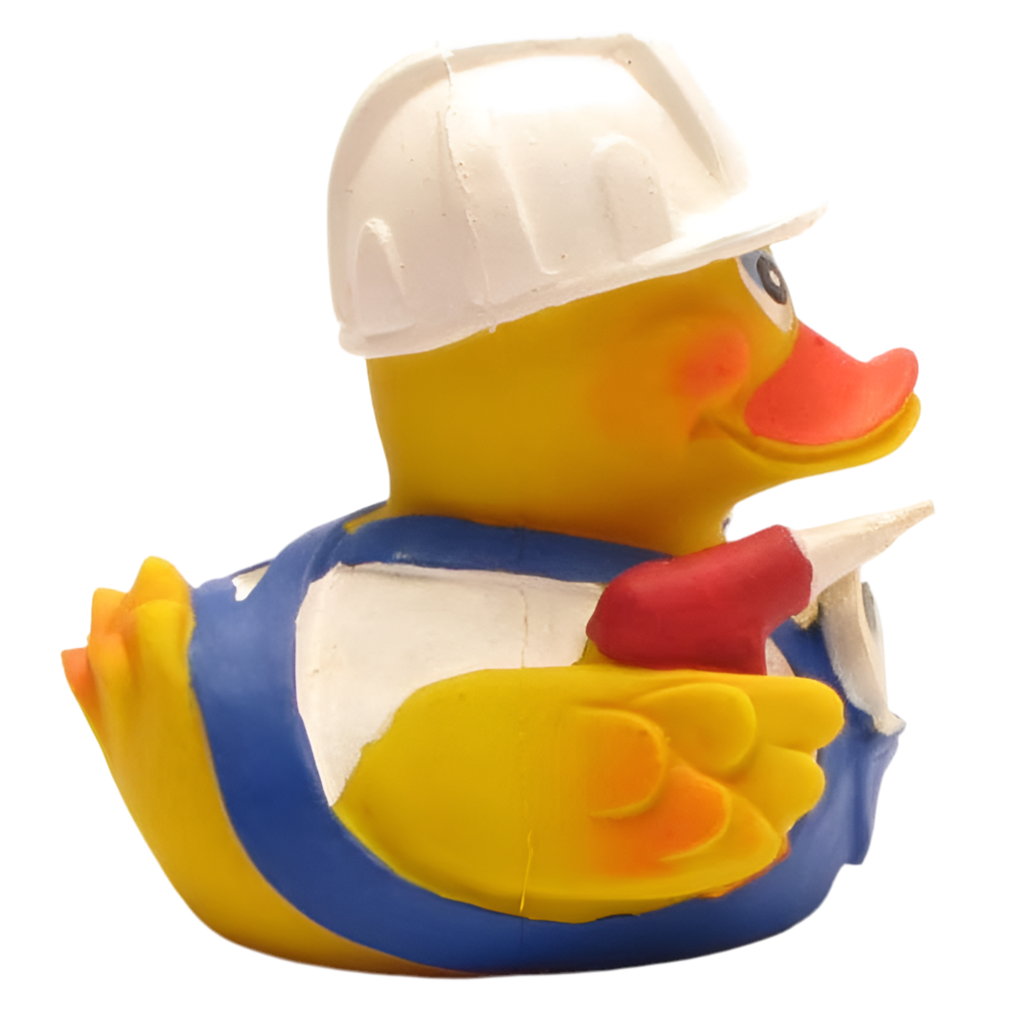 Canard Bricoleur