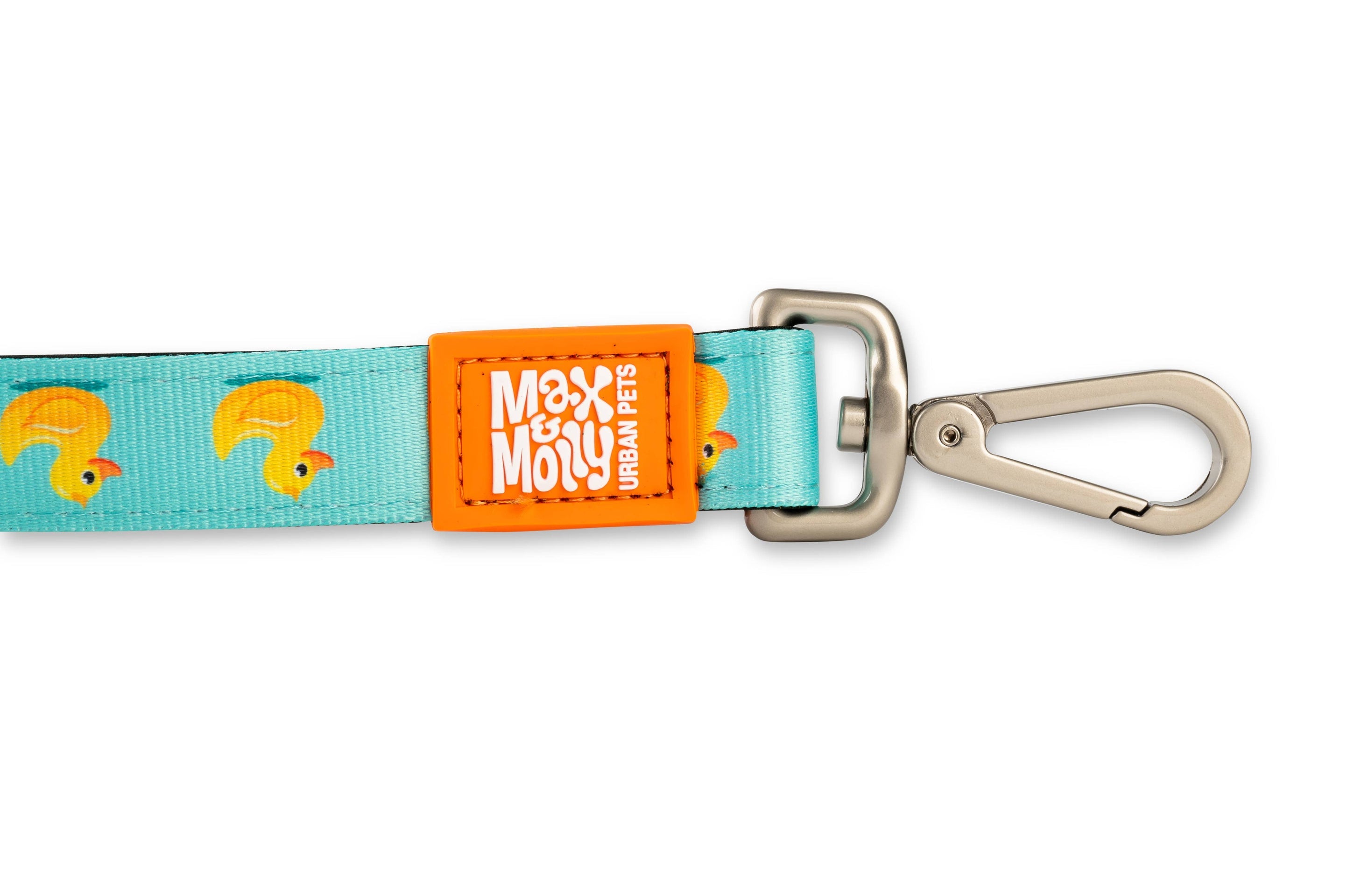 Kurz und bündig – Enten