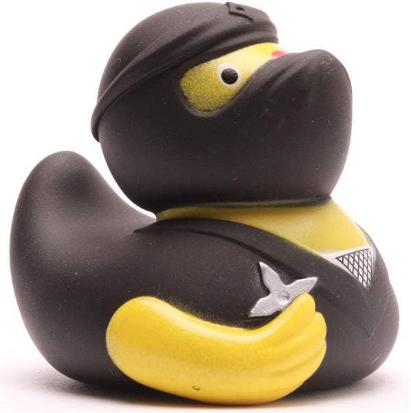 Canard ninja