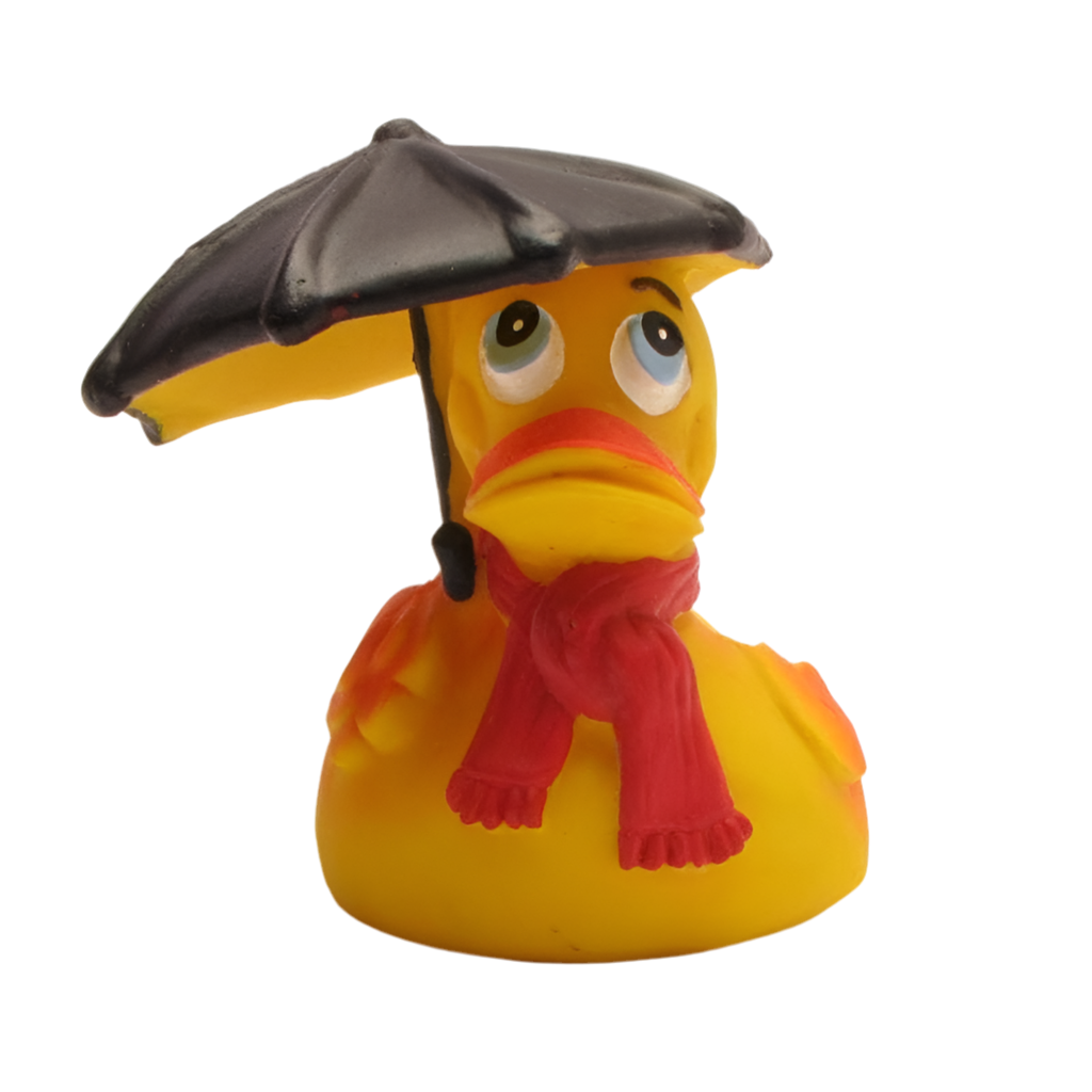 Regenwetter-Ente