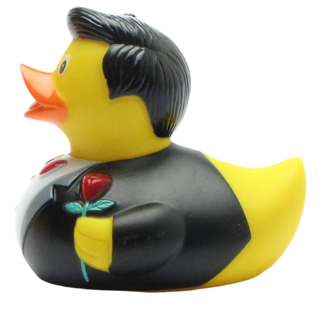 Ballroom Cavalier Duck