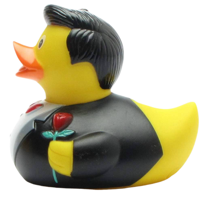 Ballroom Cavalier Duck