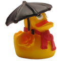 Regenwetter-Ente
