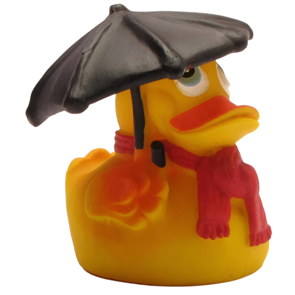 Regenwetter-Ente