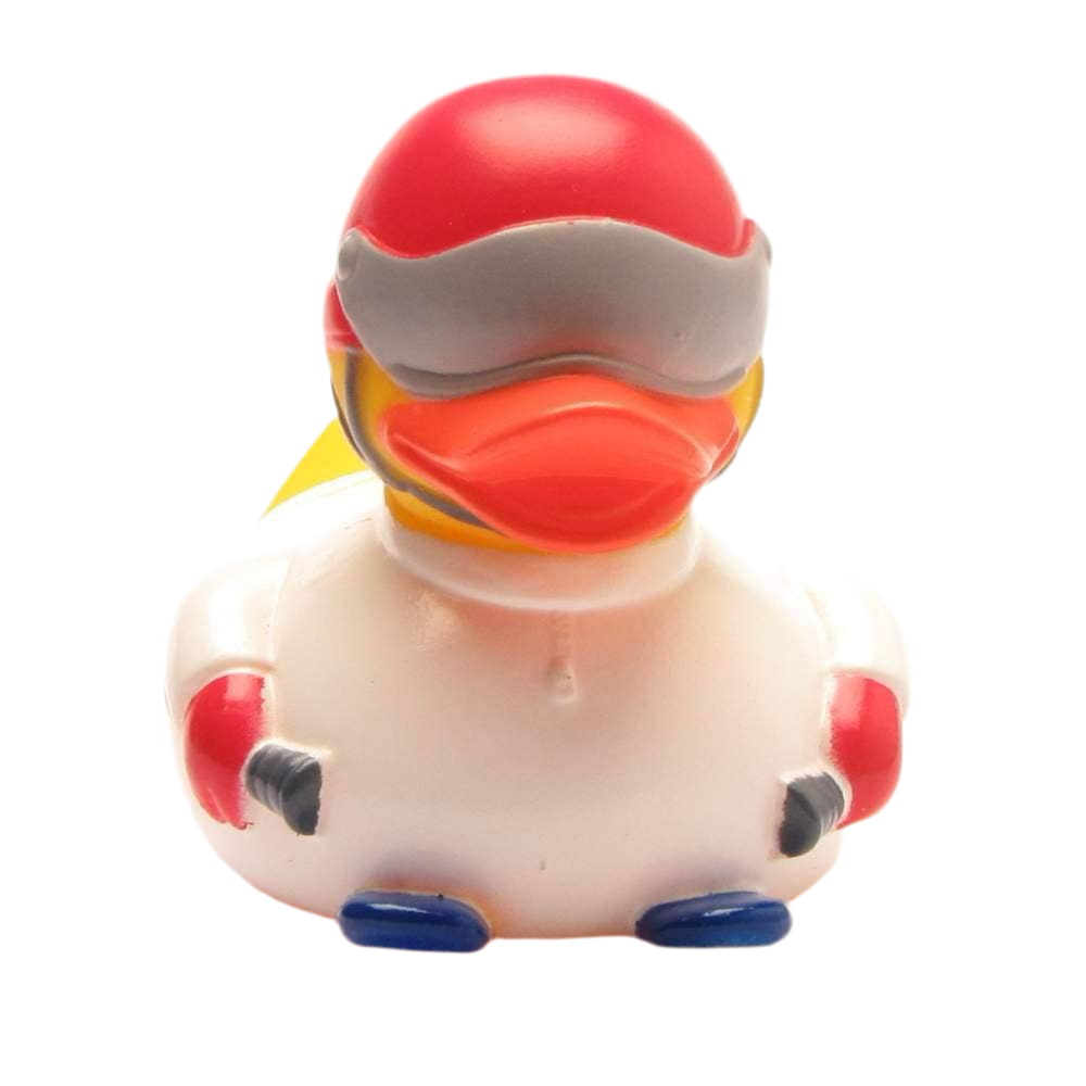 Skiing Duck