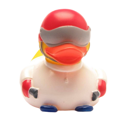 Skiing Duck