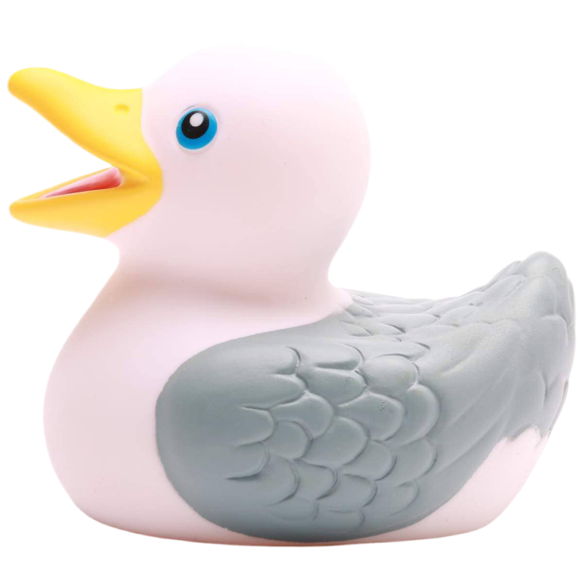 Badende Möwe