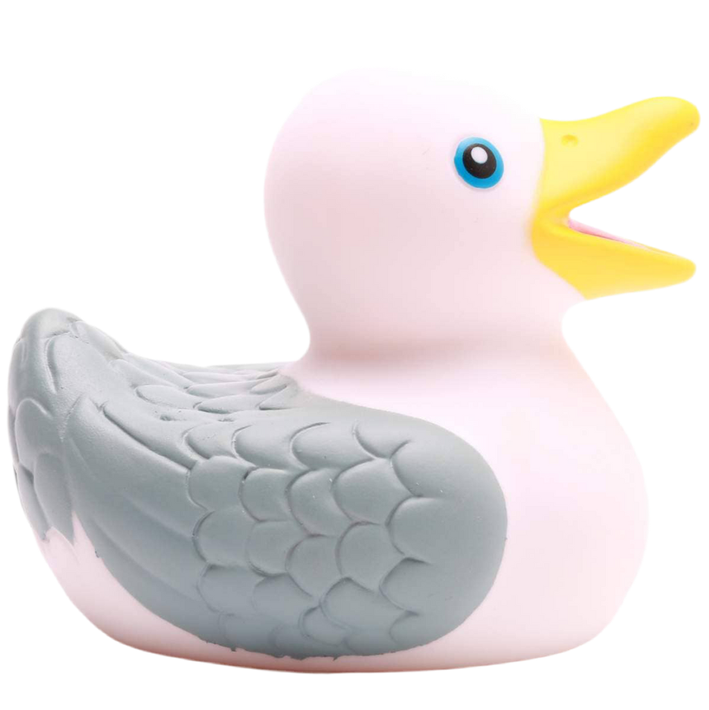 Badende Möwe
