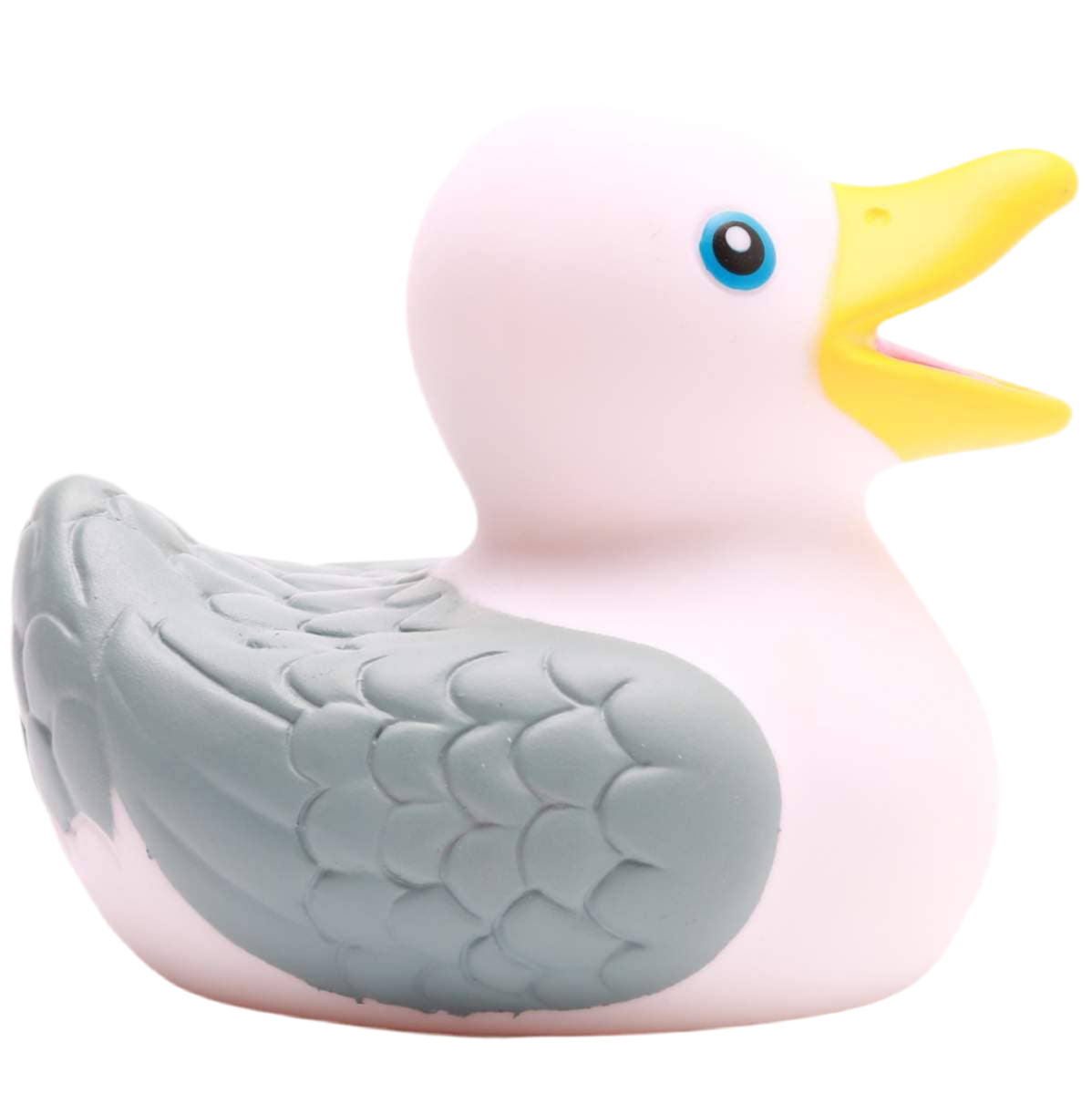 Badende Möwe