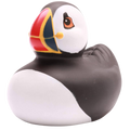 Badender Papageientaucher