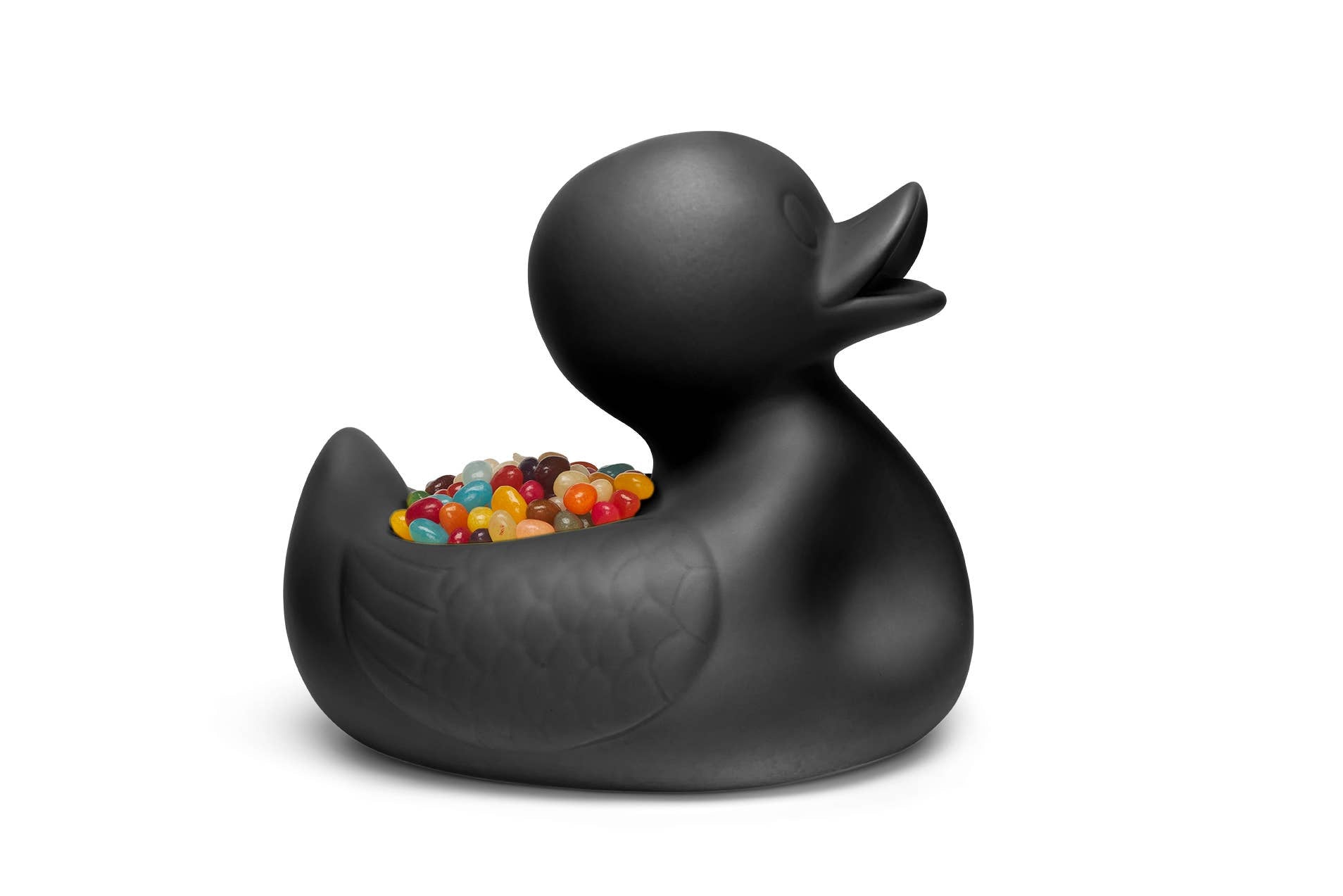 Mr. Ugly Duckling® 