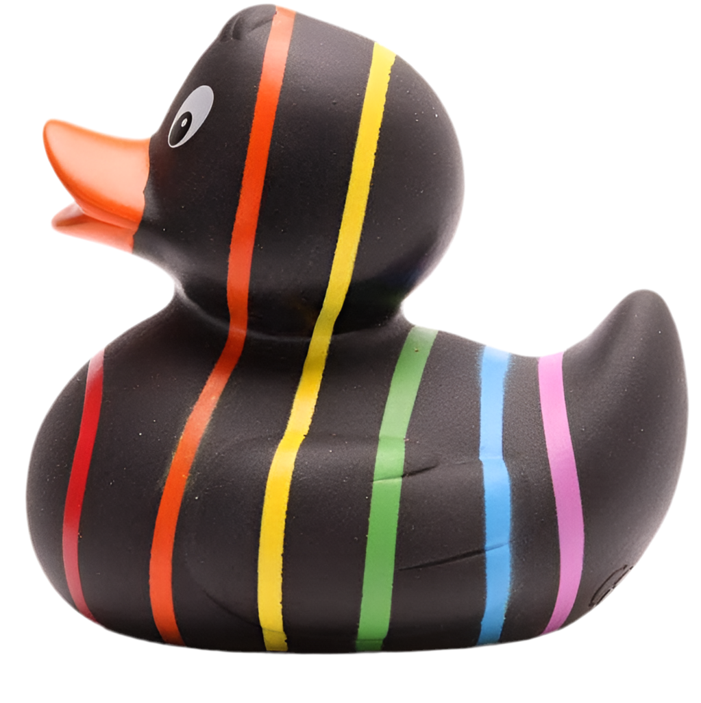 Canard Classique Arc-en-ciel Noir