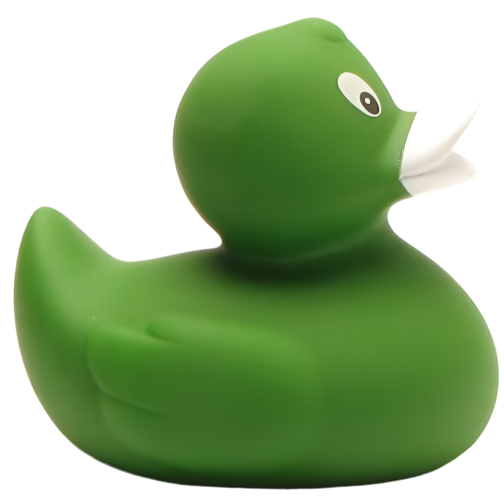 canard classique vert 1