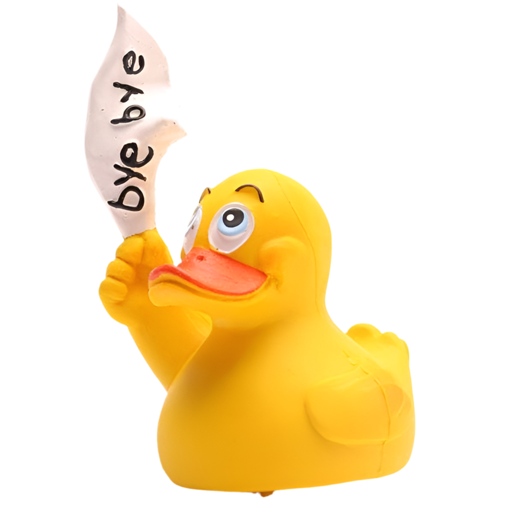 Canard Bye Bye
