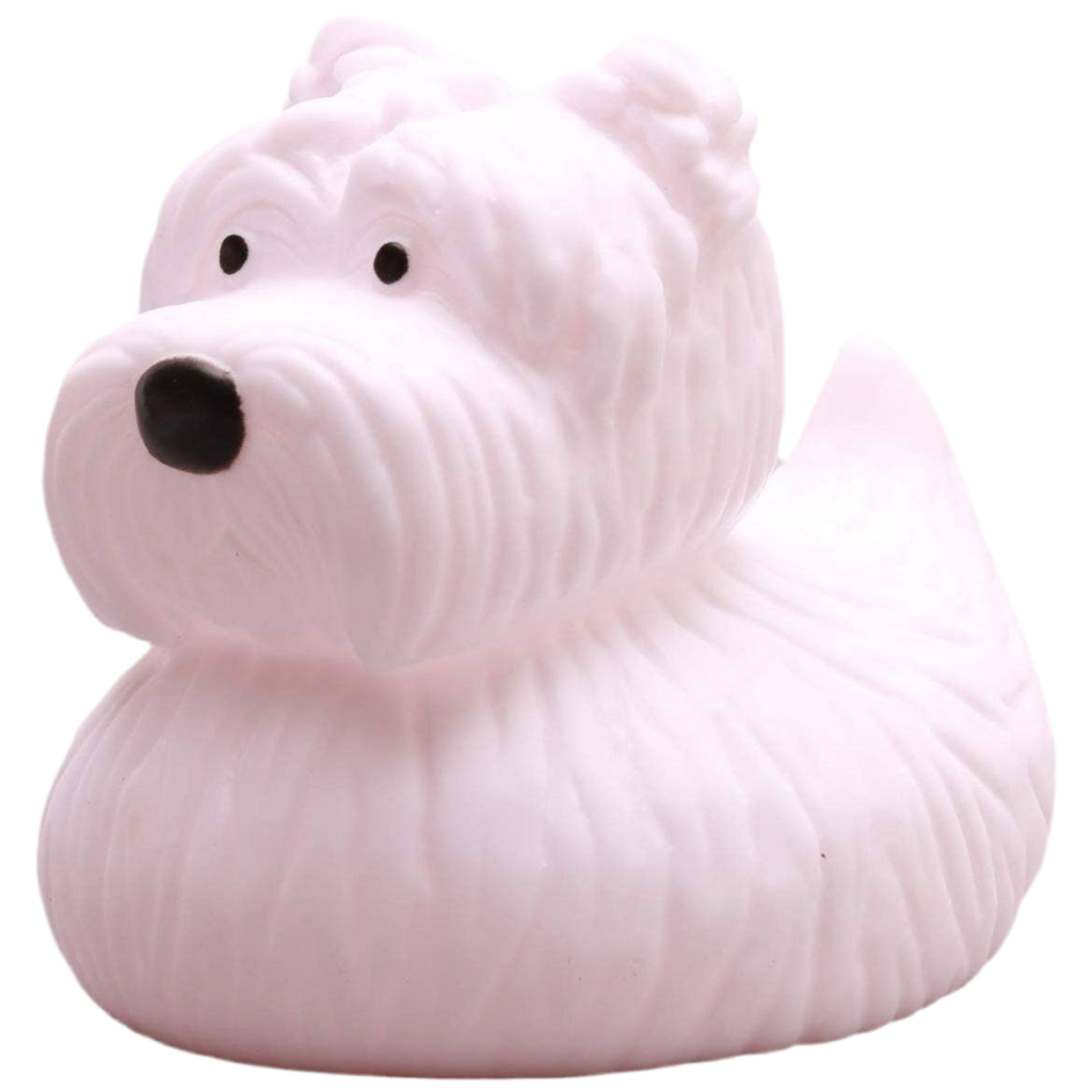 Scottish Duck Terrier