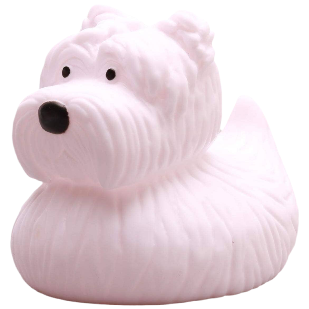 Scottish Duck Terrier
