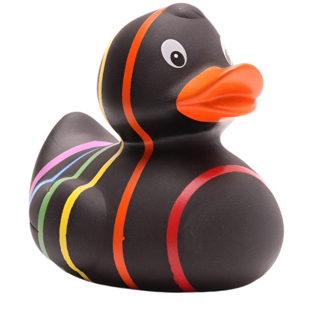 Canard Classique Arc-en-ciel Noir