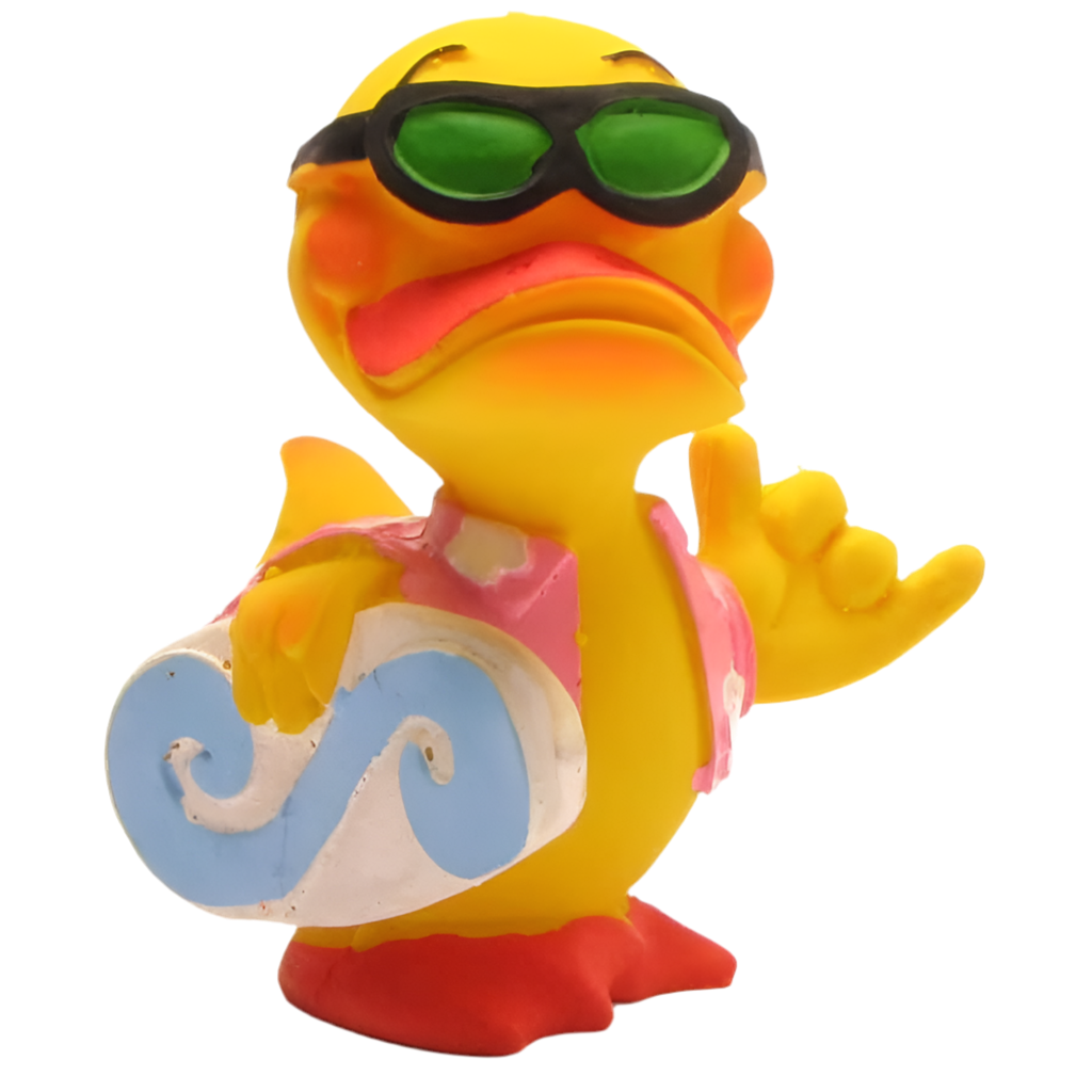 Canard Surfeur