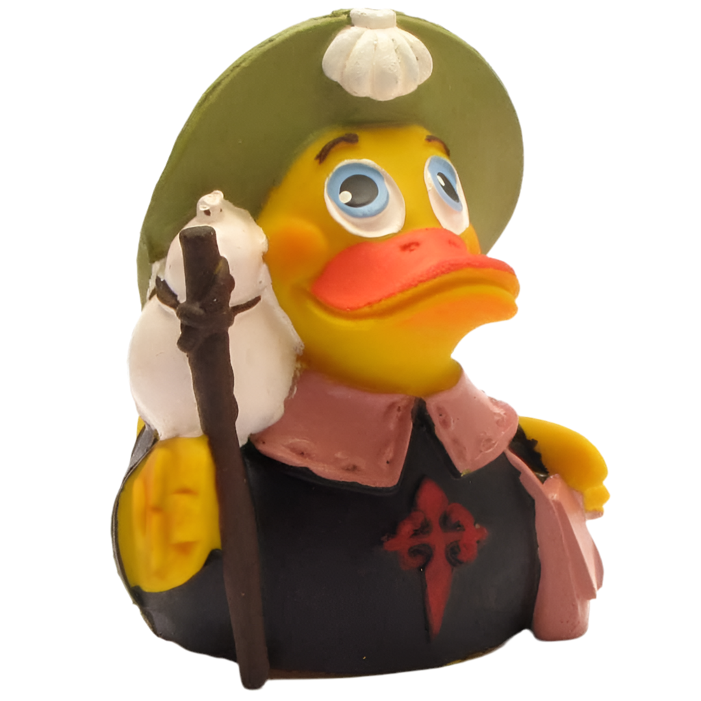 Wanderfalkenente von Compostela