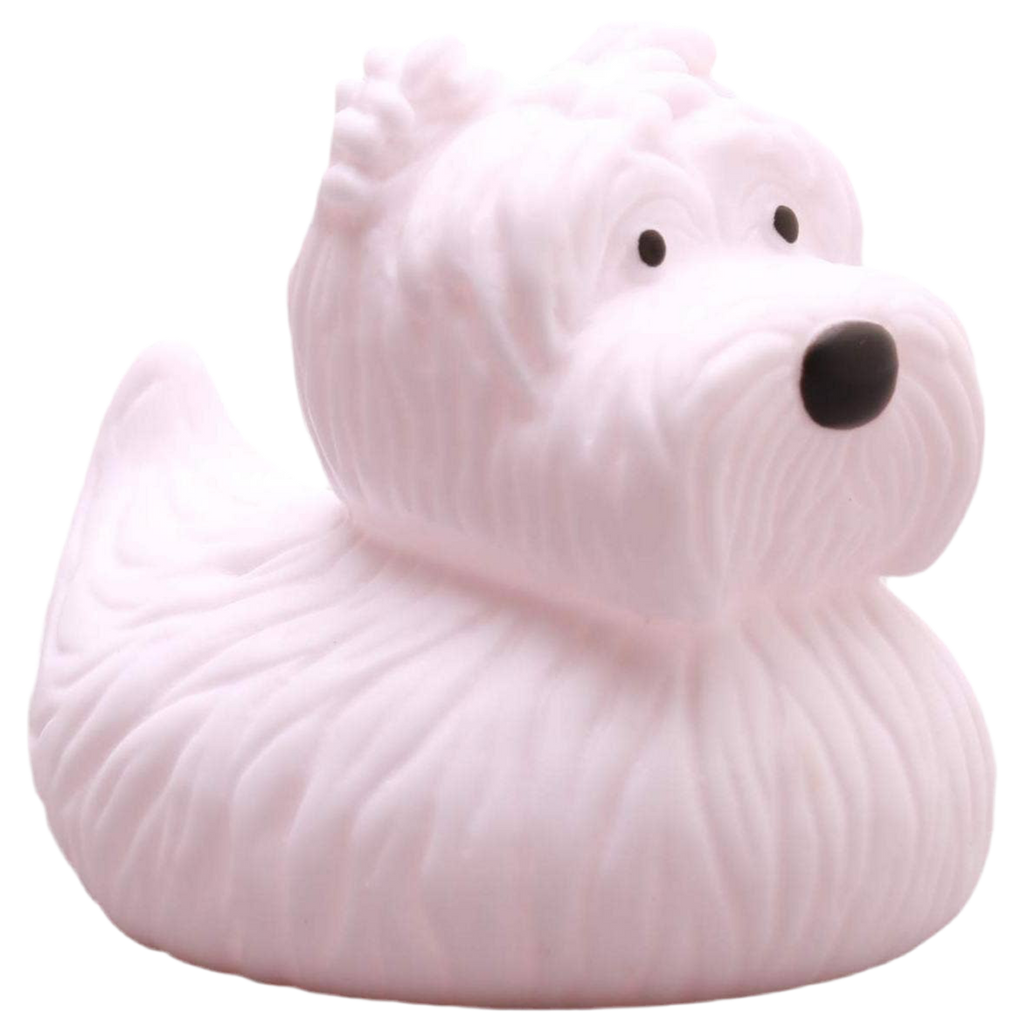 canard terrier ecossais elgate products