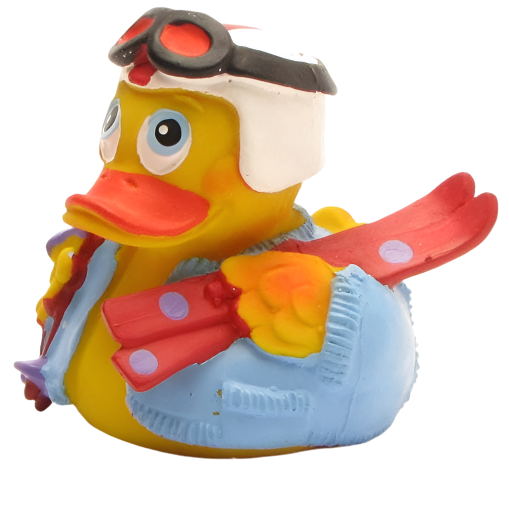 Skiing Duck