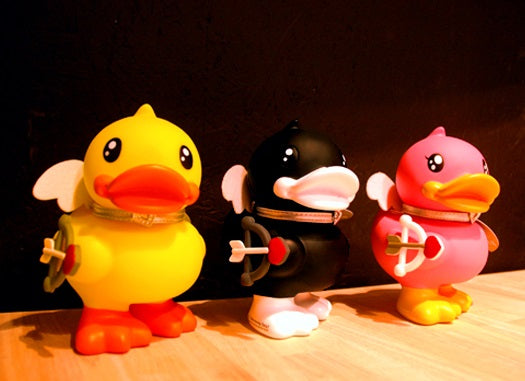 Cupid black duck duck