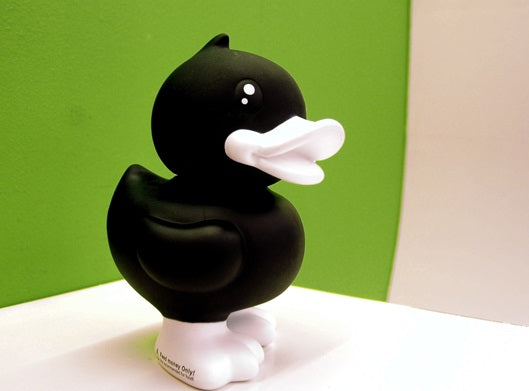 Black duck