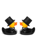 mini-canard-groom-groom-bud-duck