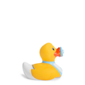 mini-canard-its-a-boy-bud-duck
