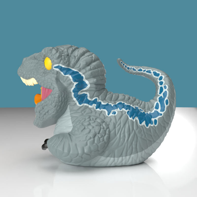 Blue Duck (First Edition)