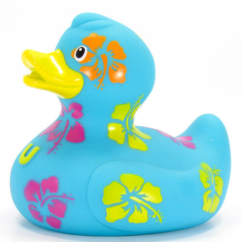 Hawaiian duck