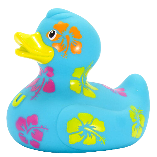 Hawaiian duck