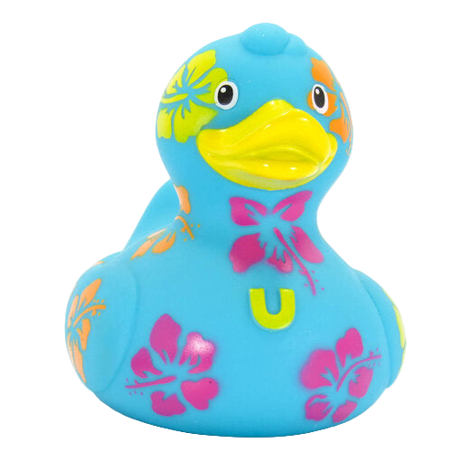 Hawaiian duck