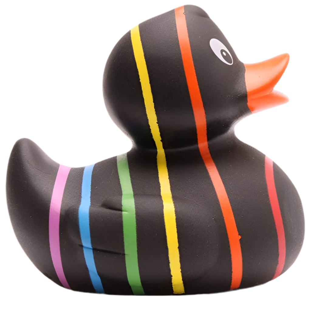 Canard Classique Arc-en-ciel Noir