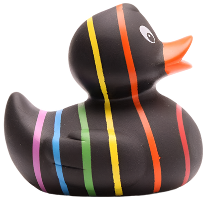 Canard Classique Arc-en-ciel Noir